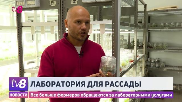 Лаборатория для рассады. Все больше фермеров обращаются за лабораторными услугами смотреть онлайн