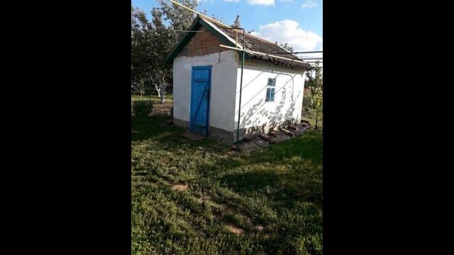 Дом в благоустроенном месте.