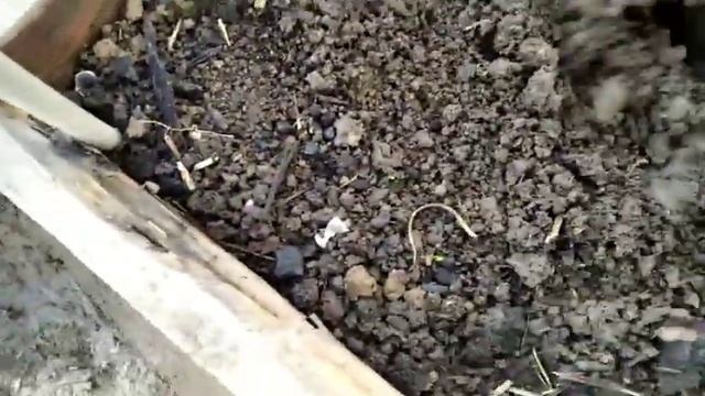 Ура,Ура все оттаивает на даче.Взошла редиска и салат. смотреть онлайн