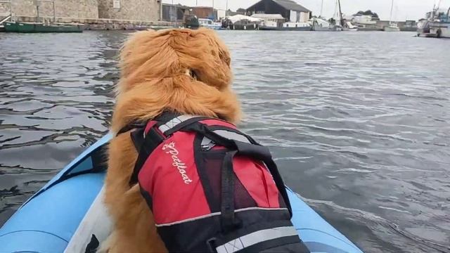 Review and comparison of the Spinera Hybris 320 and Aquaglide Chelan 140, with Oti adventure Toller смотреть онлайн