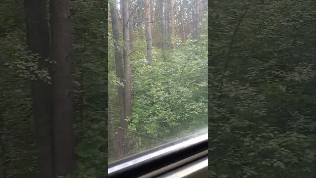 Детская железная дорога смотреть онлайн