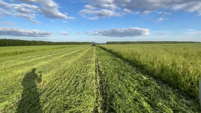 Сенокос в самом разгаре. Косим сено: ксн 2.1. беларус, и автопилот trimble. смотреть онлайн