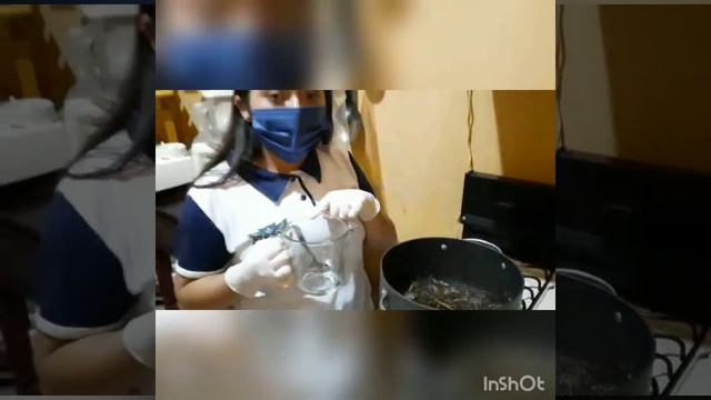 Shampoo "VERBENA" смотреть онлайн