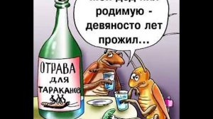 Таракан и его жизнь