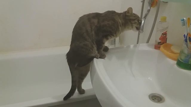 #вода-водица