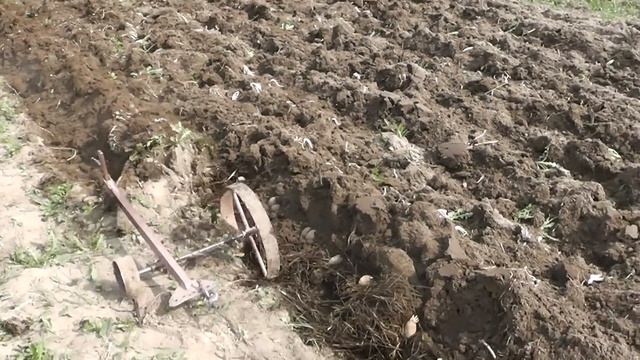 Лебедка для вспашки - посадка картофеля самодельным плугом смотреть онлайн