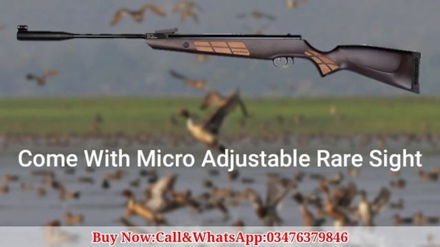 Norica Black Eagle .22(5.5mm)Full Review|Airguns Reviews In Pakistan Urdu/Hindi|AirHunter PK смотреть онлайн