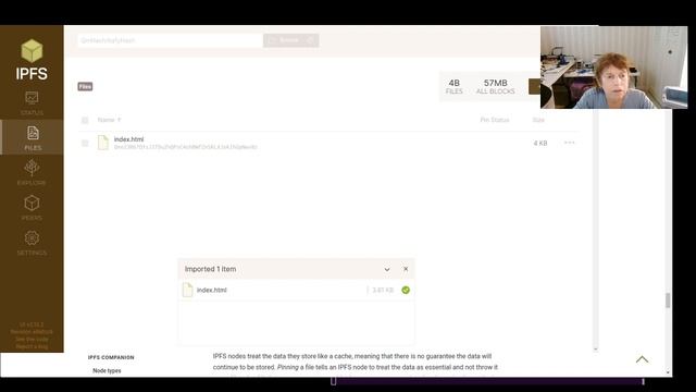 IPFS - Hosting a One Page Website смотреть онлайн