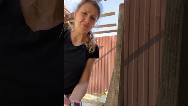 Это мог бы быть шикарный трейлер к какому-нибудь фильму про огород❤️#shorts