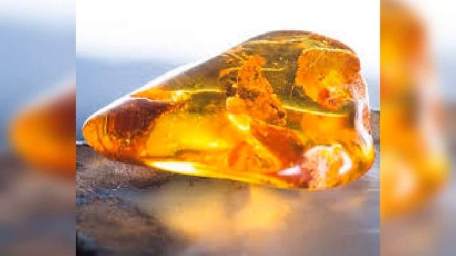 Ambergris Мелодекламация,  Автор стихов и видео Таис Никольская