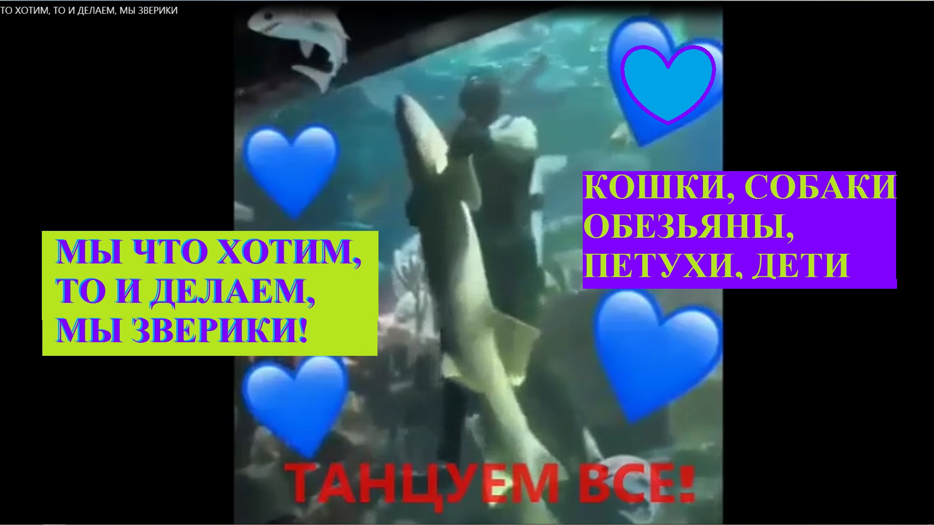 МЫ ЧТО ХОТИМ, ТО И ДЕЛАЕМ, МЫ ЗВЕРИКИ смотреть онлайн