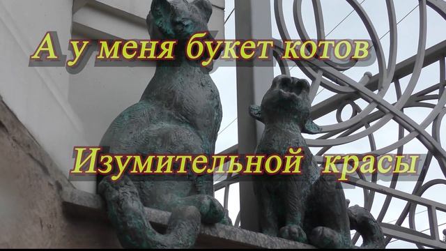 Цикл.  Коты Одессы - продолжение. Букет котов.