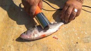 Рыбочистка электрическая? Китайская