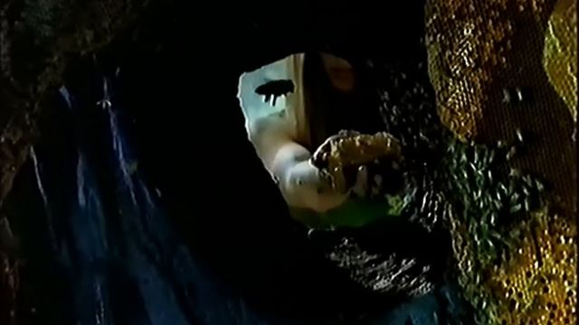 Timotei Shampoo Werbung 1998 смотреть онлайн