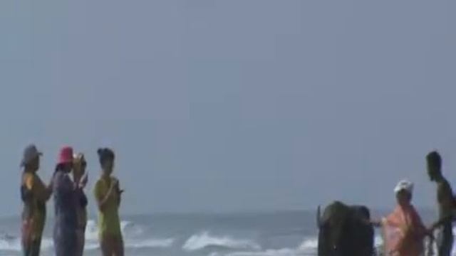 Гоа Бенаулим смотреть онлайн
