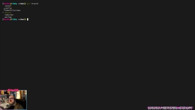 What DWM patches to use? (Suckless, Linux) смотреть онлайн