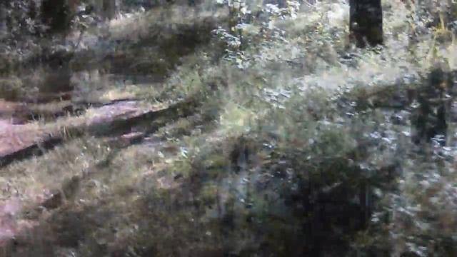 2016 - озеро Виша, Муромский заказник