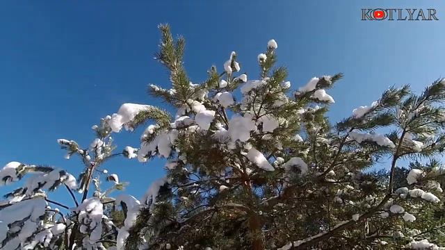 Зима (вірш). смотреть онлайн