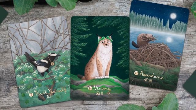 The Wild Way Oracle Deck смотреть онлайн