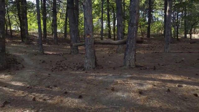 Какова одинокая жизнь смотреть онлайн