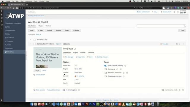 Automatic WordPress for security optimization in Plesk смотреть онлайн