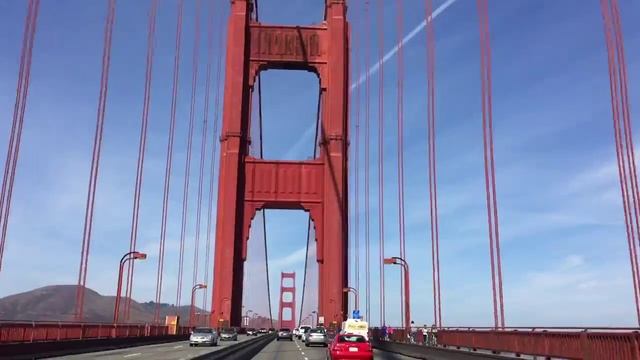 belka test - tesla model S and food смотреть онлайн