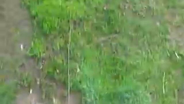 Электро лебедка для посадки, окучивания и выкапывания картофеля. смотреть онлайн