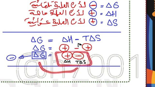 حسين الهاشمي• الفصل الأول•
المحاضرة :  23