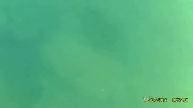 водолазно поисковые работы с металлоискателем смотреть онлайн