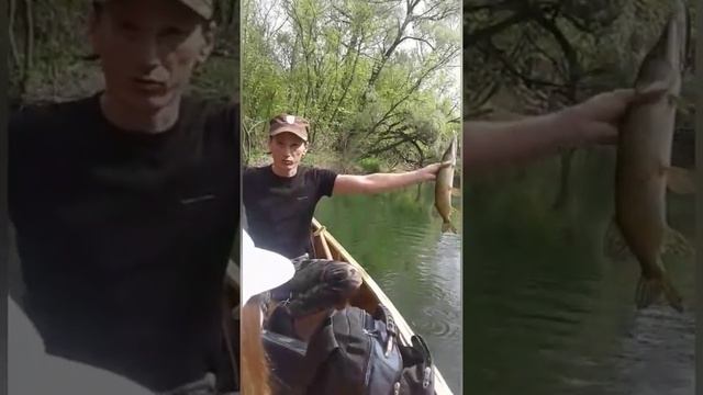 По Старому Дону на каноэ. смотреть онлайн