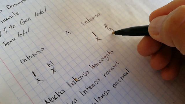 cruce cario intenso x canaria intensa dos teorías geneticas sobre este cruce AVIARIO LA CRI MX смотреть онлайн