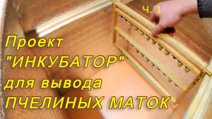 Инкубатор для вывода пчелиных маток. Создание и сборка инкубатора. Подготовка к пчеловодному сезону
