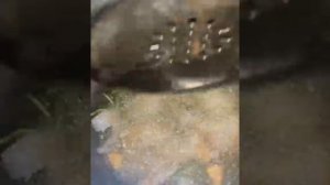 Креветки в Афганском казане!!! Очень удобно жарить, брызги масла и аромат остаётся в казане !