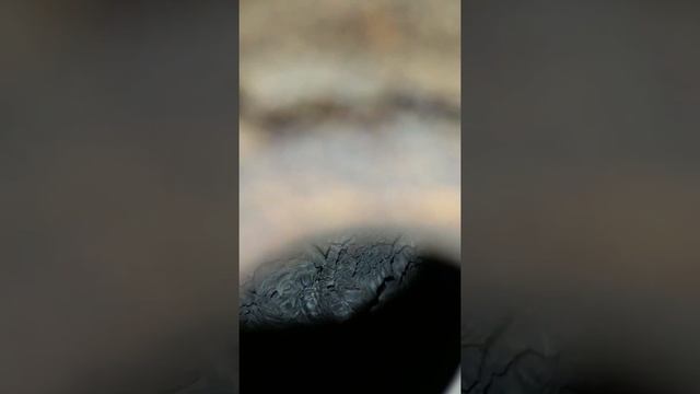 Ford windstar code p0136 смотреть онлайн