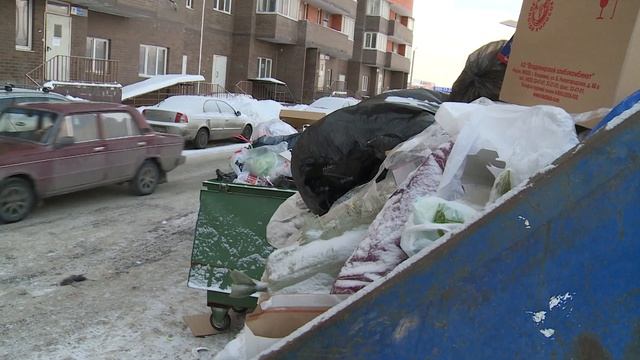 В посёлке Сосновый бор мусорные контейнеры стоят вплотную к жилым домам смотреть онлайн