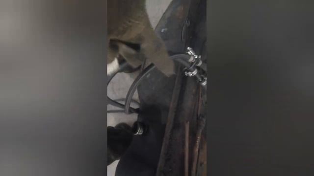 мицубиси дырка бак смотреть онлайн
