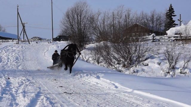 Обождите меня! Я буду победителем! смотреть онлайн