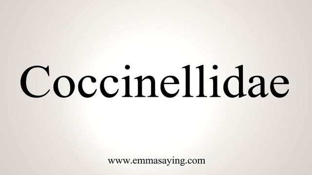 How To Say Coccinellidae смотреть онлайн
