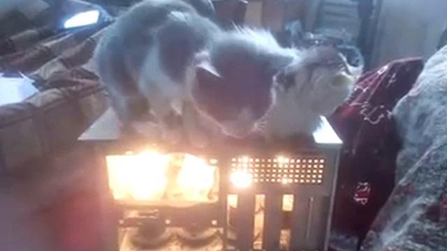 Обогреватель из ламп накаливания | Жизнь в селе переселенцев из Донбасса смотреть онлайн