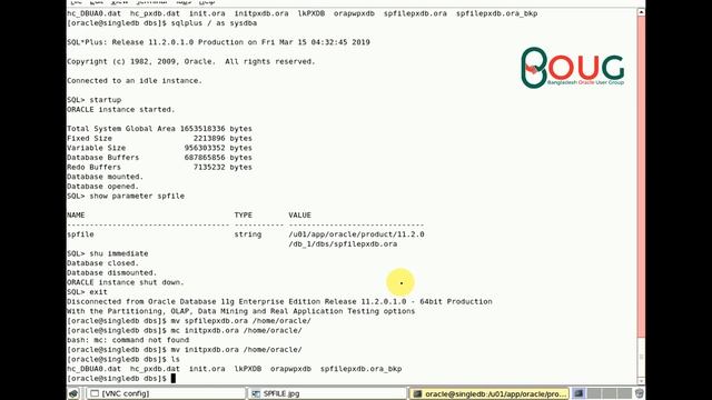 SPFILE and PFILE in Oracle | BOUG | Oracle Database Files смотреть онлайн