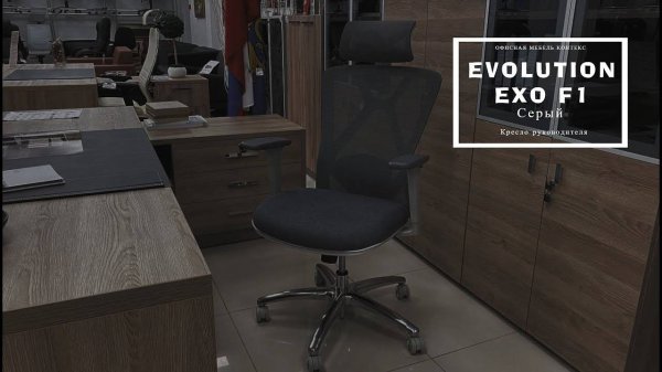 Эргономичное кресло ЭВОЛЮШН (EVOLUTION EXO F1) серое