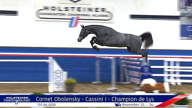 Holsteiner Körlot 2023 | Nr. 35 Cornet Calys смотреть онлайн