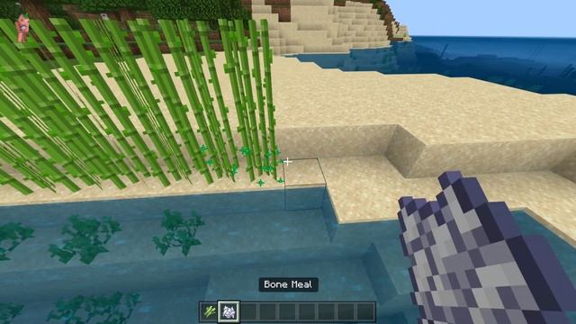 16 Things That Are Different in Minecraft Bedrock (Bedrock vs Java) смотреть онлайн