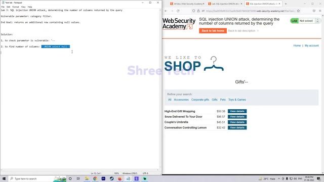 lab 3: SQL injection UNION attack, determining the number of columns returned by the query | Hindi смотреть онлайн