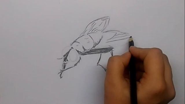Как нарисовать муху смотреть онлайн