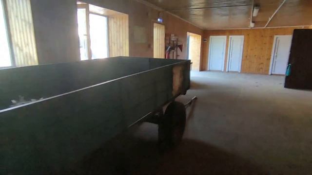 Арабские скакуны на Терконзаводе смотреть онлайн
