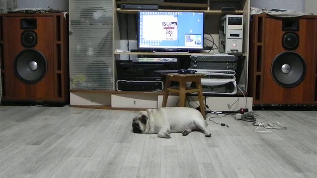 ОНКЕН-ONKEN---speakers-Д.И.В.-Право на смерть смотреть онлайн