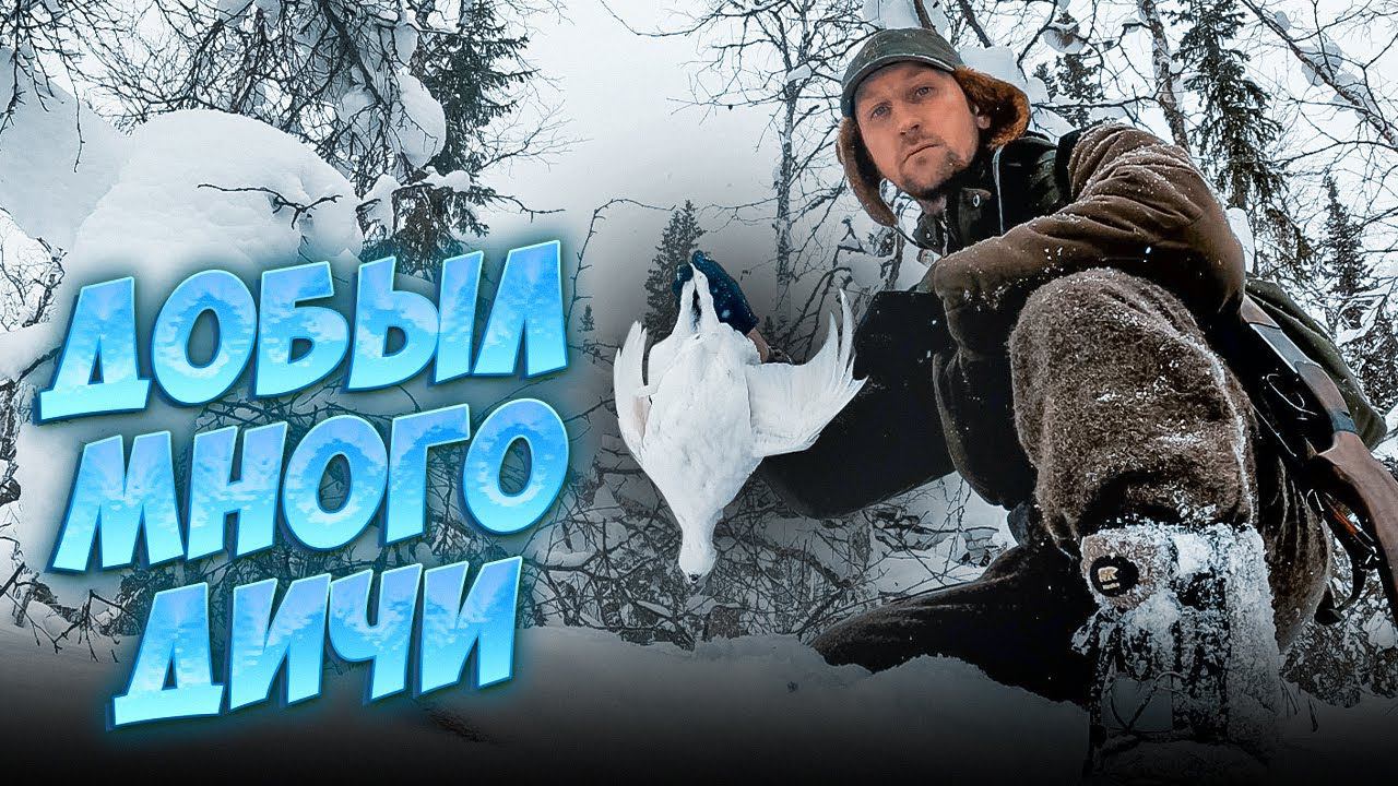 ХОДОВАЯ ОХОТА НА БОРОВУЮ ДИЧЬ. СТРЕЛЯТЬ ДАЖЕ ОБЕЗЬЯНА МОЖЕТ. КРАСИВЫЙ ДУПЛЕТ. смотреть онлайн