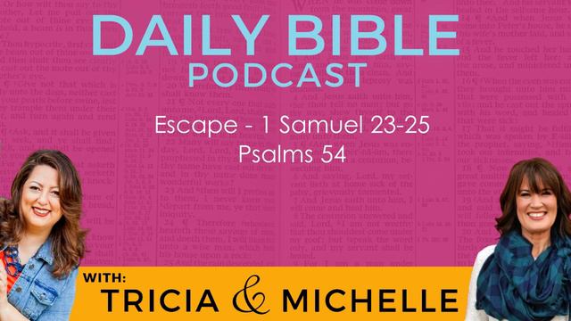 Escape - 1 Samuel 23-25 Psalms 54 смотреть онлайн
