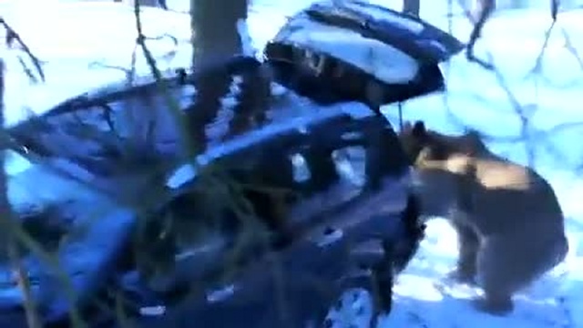 Сходили, пля, на рыбалку... смотреть онлайн